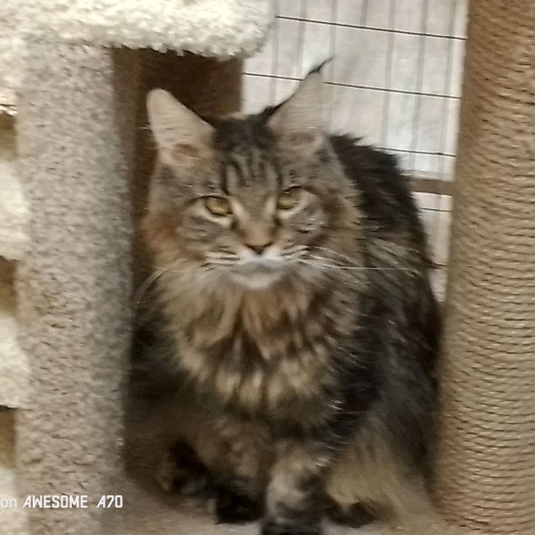 Иконка канала Артём