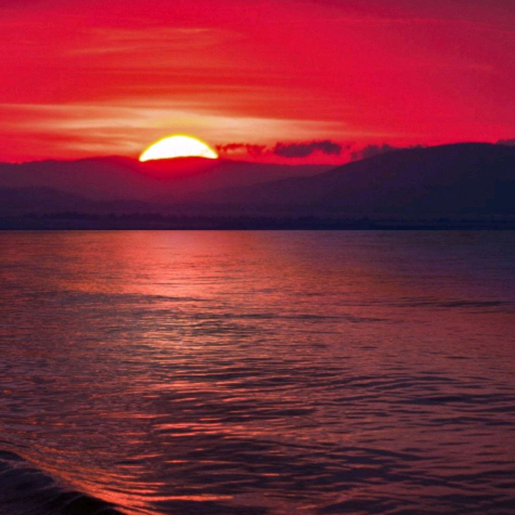 Иконка канала DAVIMAZI