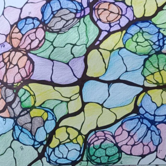 Иконка канала Anastasiya _Neurografika