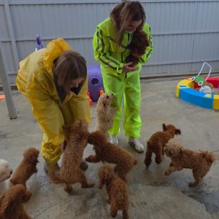 Иконка канала Pitomnikmoscow