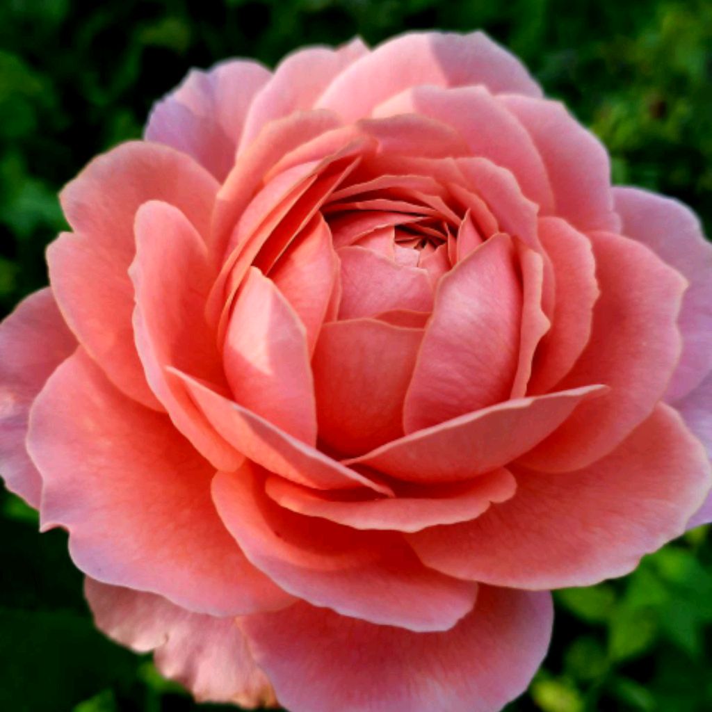 Иконка канала Orange Sun ☀️