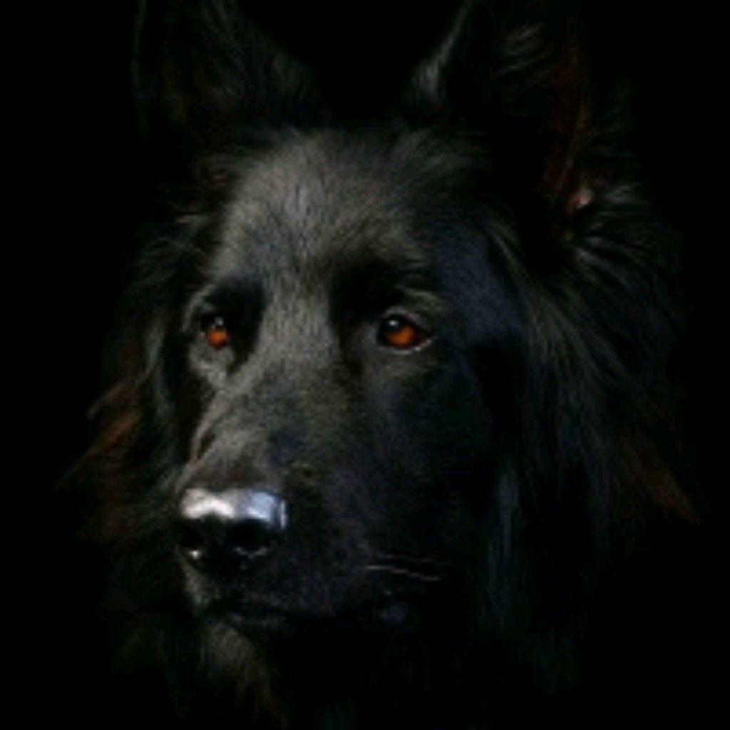 Иконка канала Константин