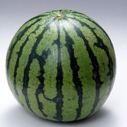 Иконка канала m0n9x