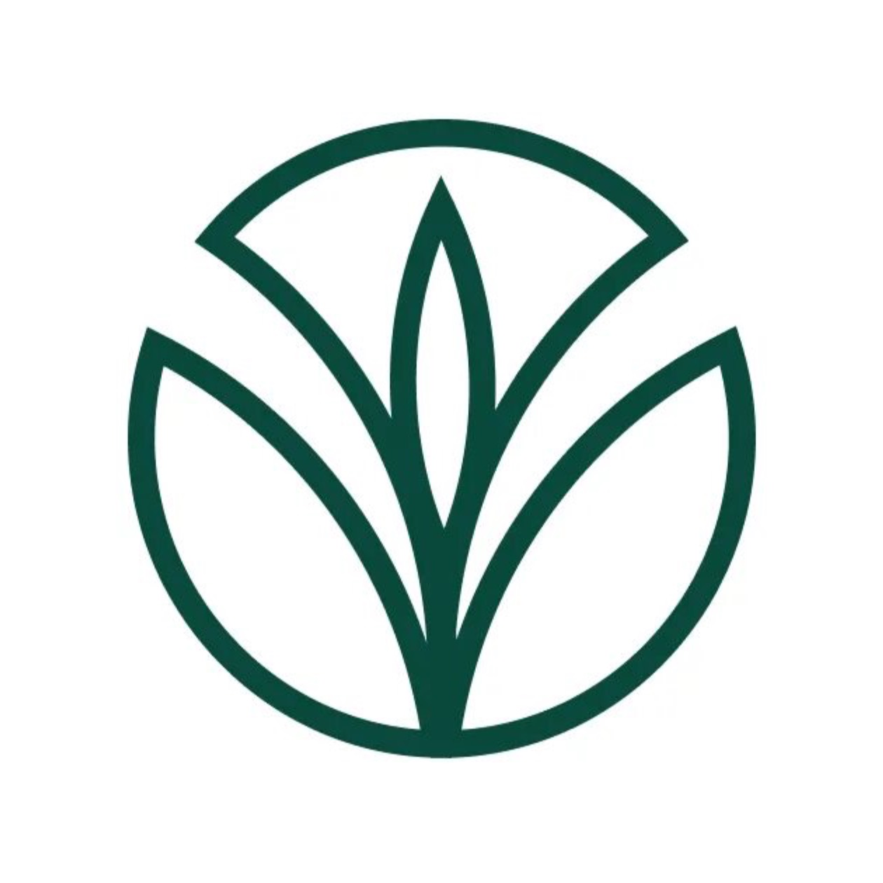 Иконка канала ХОМОСПОРИН |  ЗДОРОВЬЕ ИЗНУТРИ