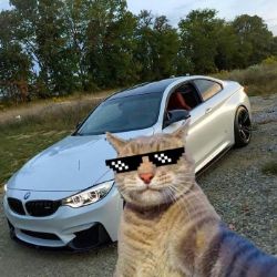 Иконка канала давидка stary oskol