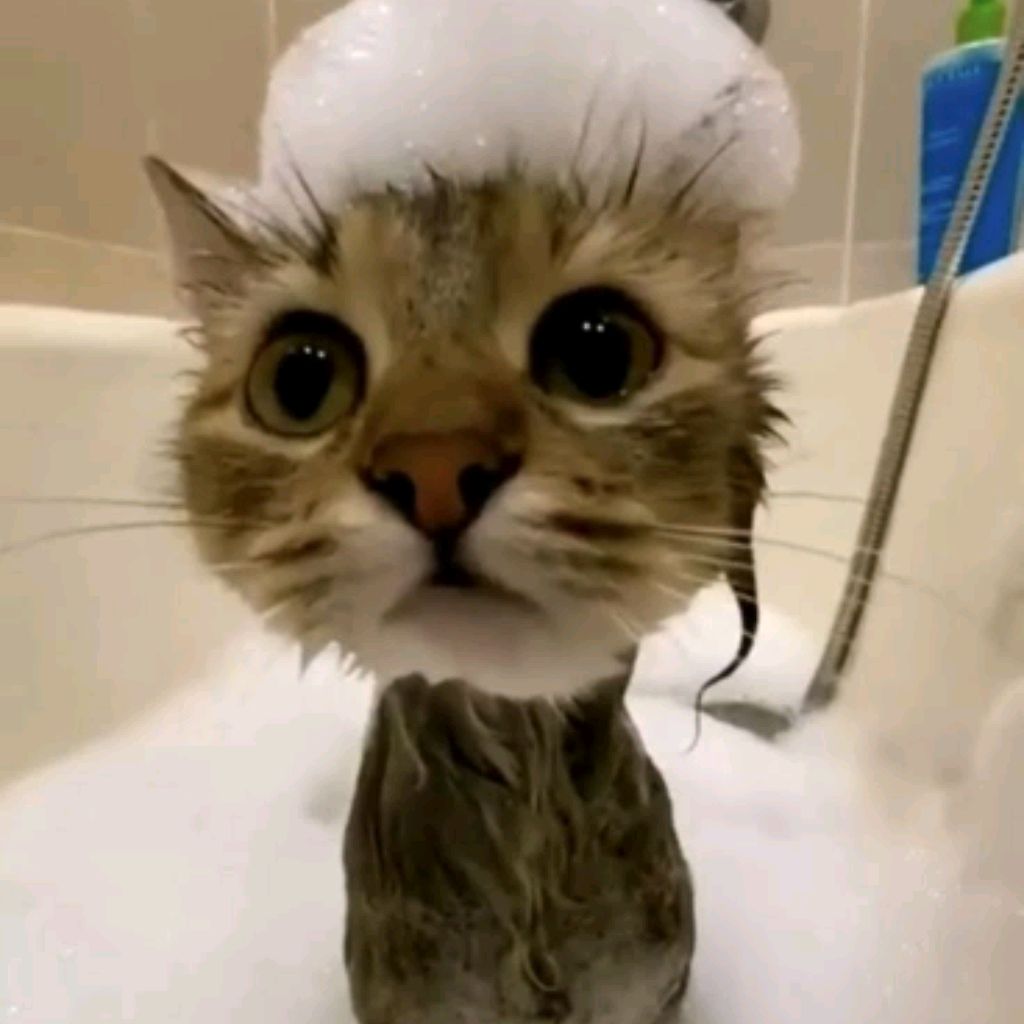 Иконка канала ~`|♡юсечка♡|`~