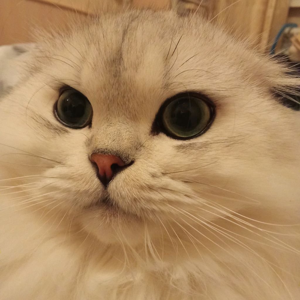 Иконка канала Никита Сосиска