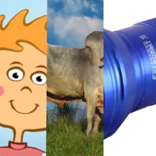 Иконка канала БогданСем Зебу Фонарь