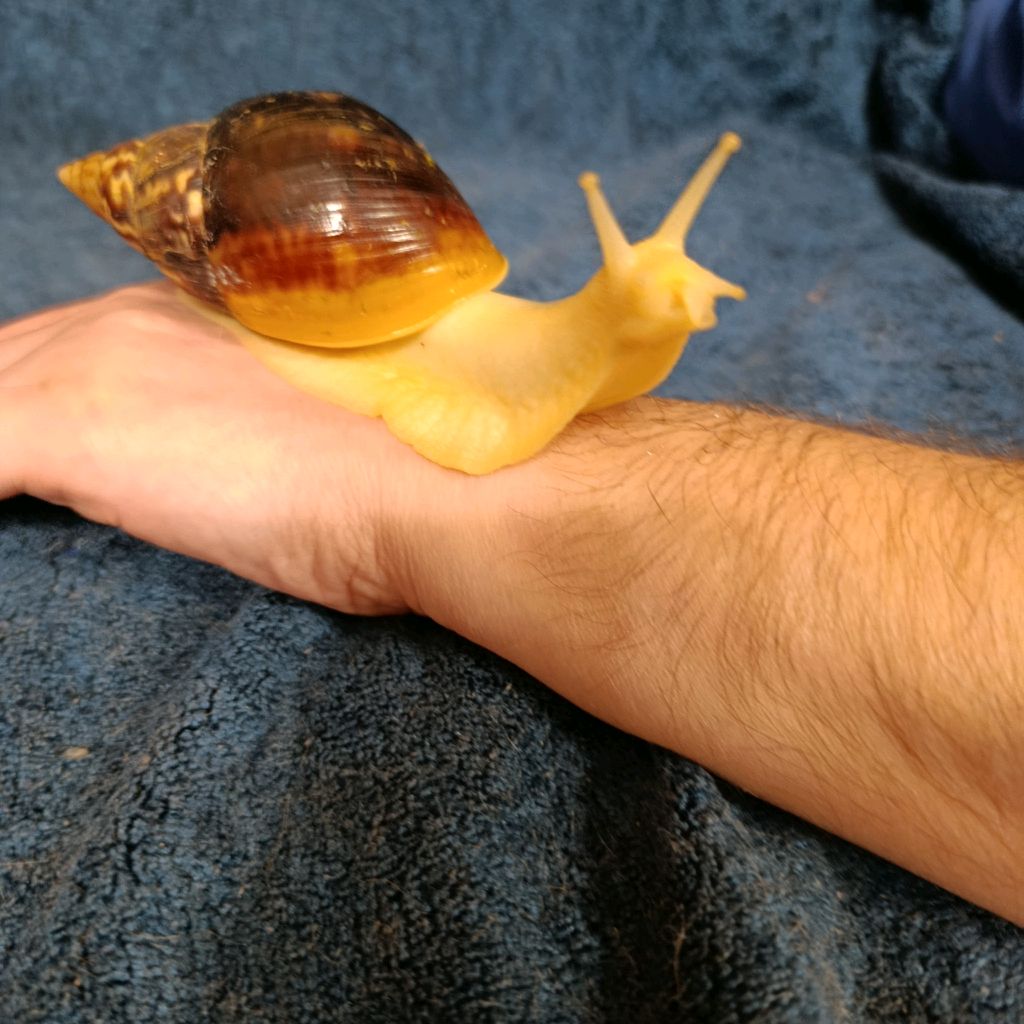 Иконка канала Masha_Life