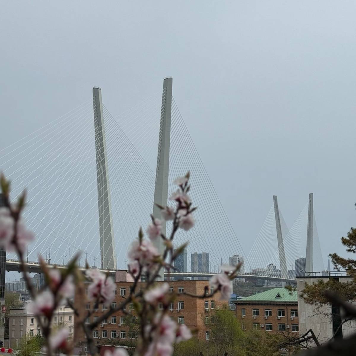 Иконка канала Владивосток | Город удивительных людей