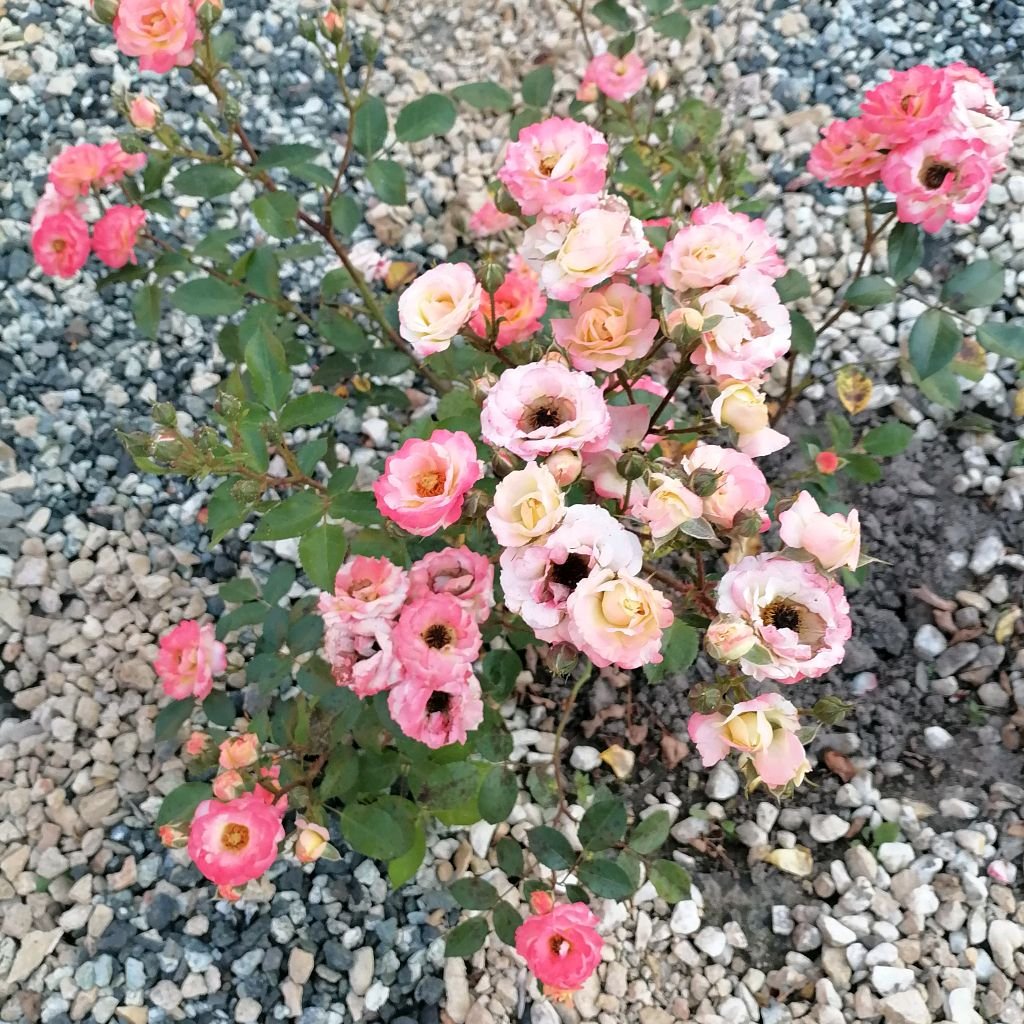 Иконка канала ПОЗЕТИВ