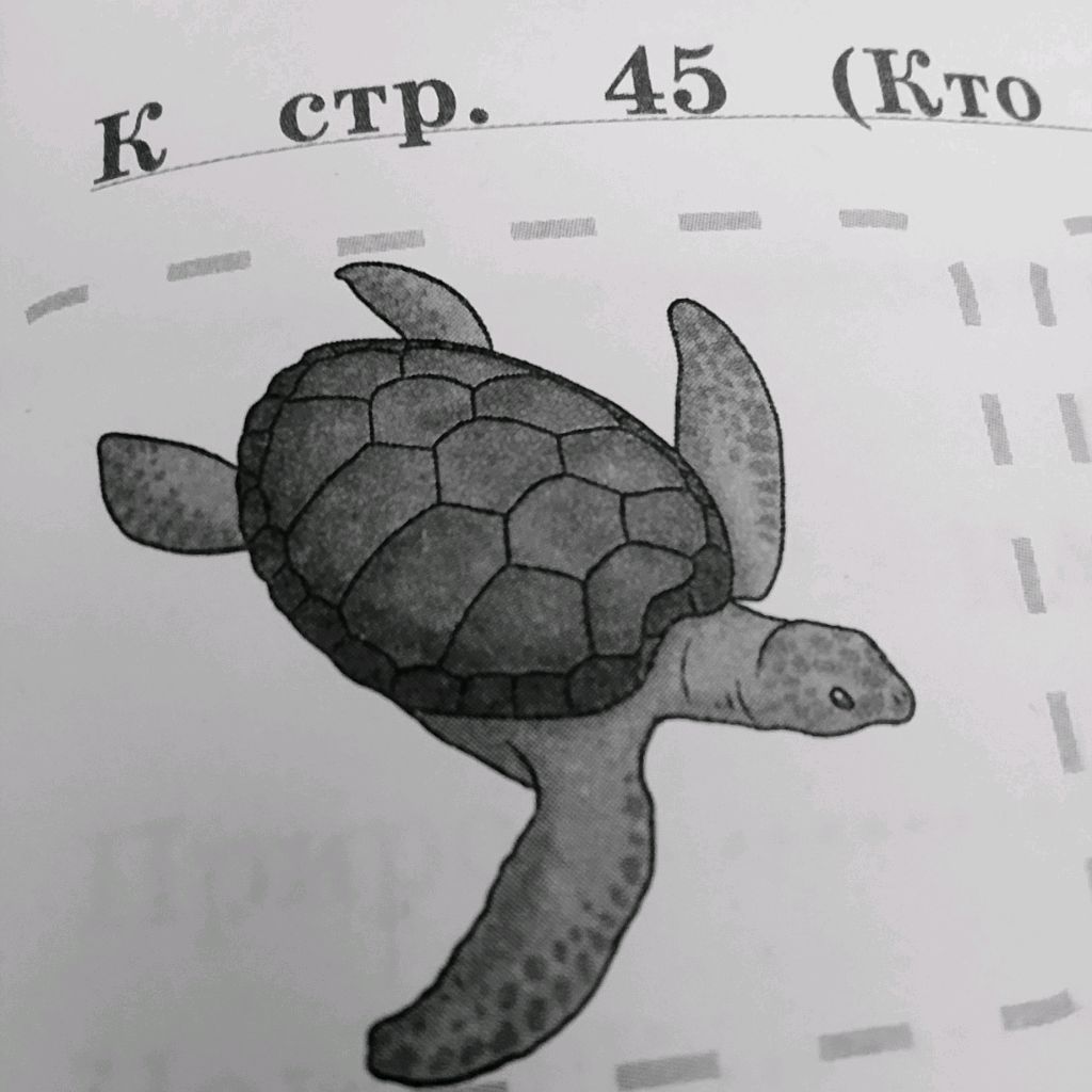 Иконка канала ААА