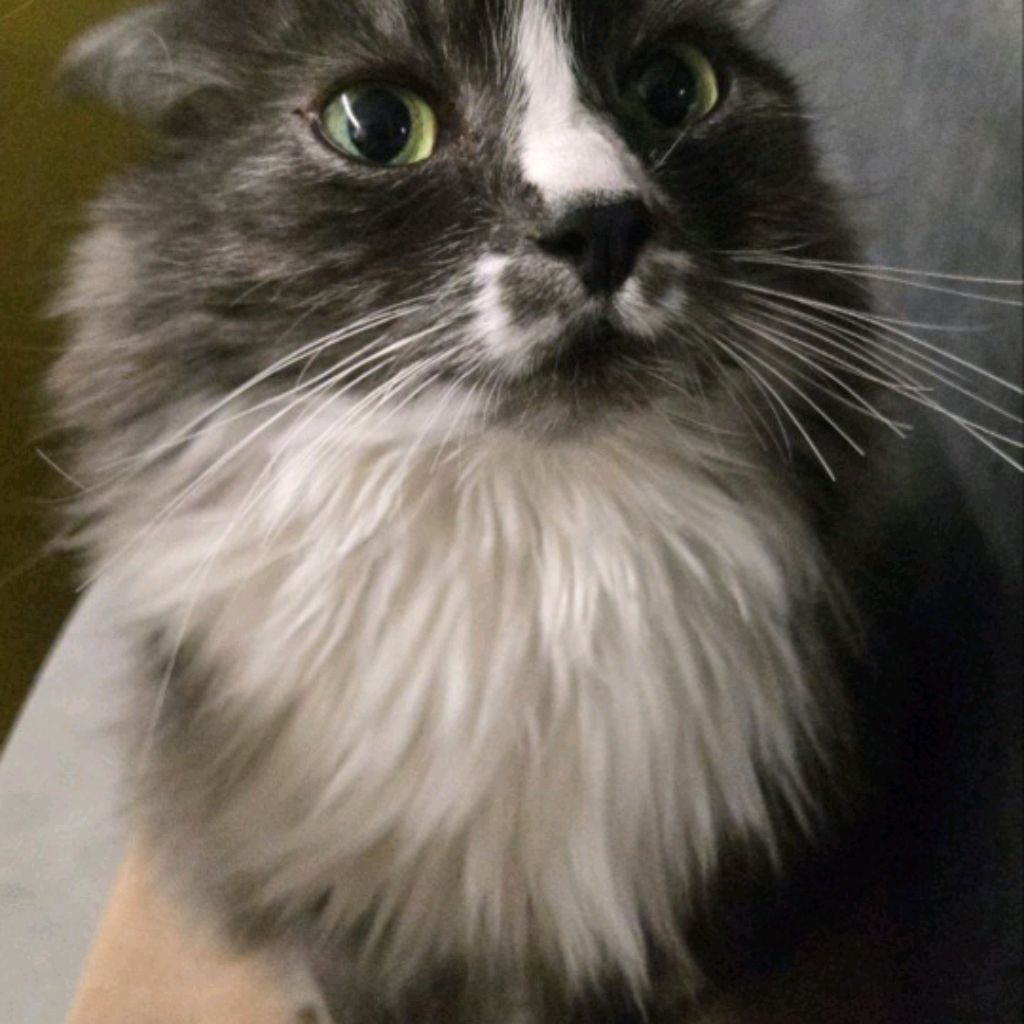 Иконка канала ♡Ася☆