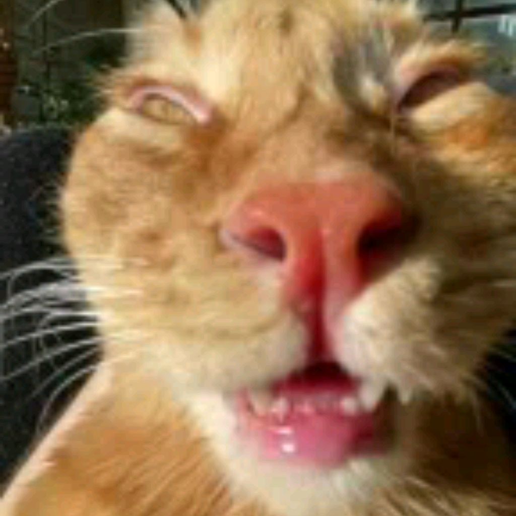 Иконка канала Гамзат @12