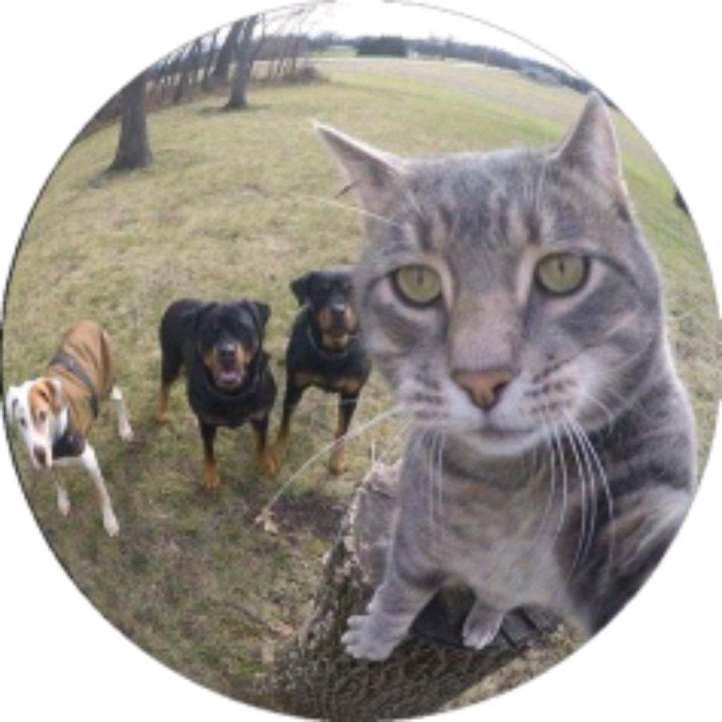 Иконка канала AZIK BEATS (Русский)