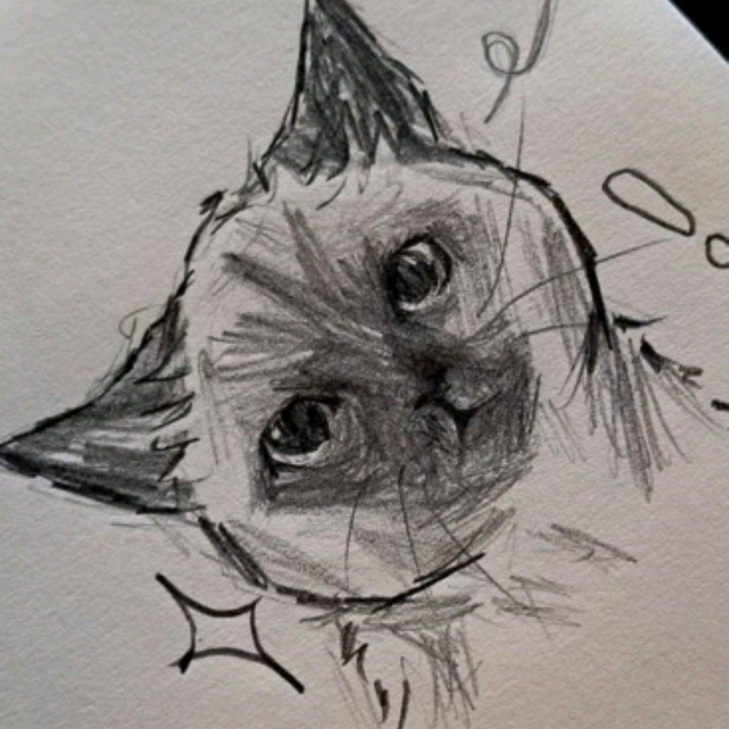 Иконка канала 𝙴𝚟𝚎𝚕𝚒𝚗𝚘4𝚔𝚊𝚊