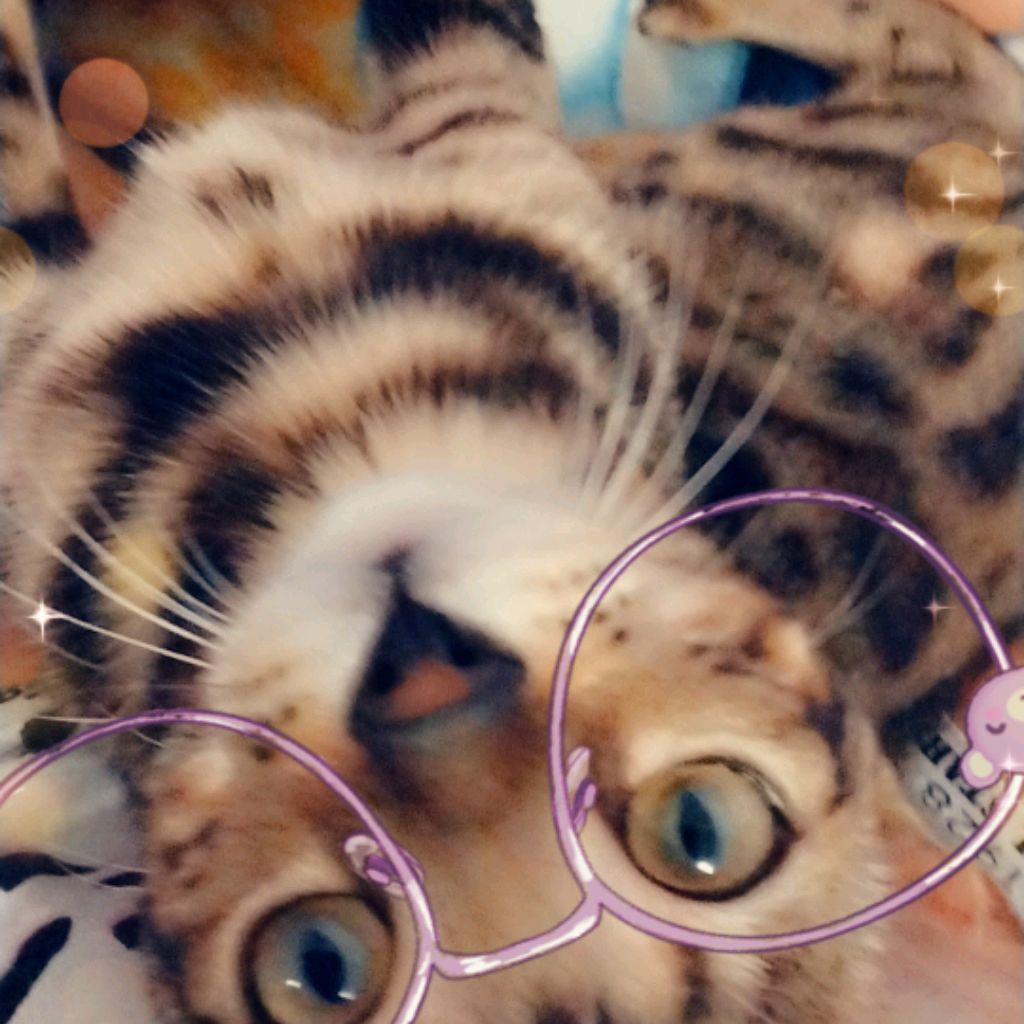 Иконка канала Polina Lina💋🩷🎀💗