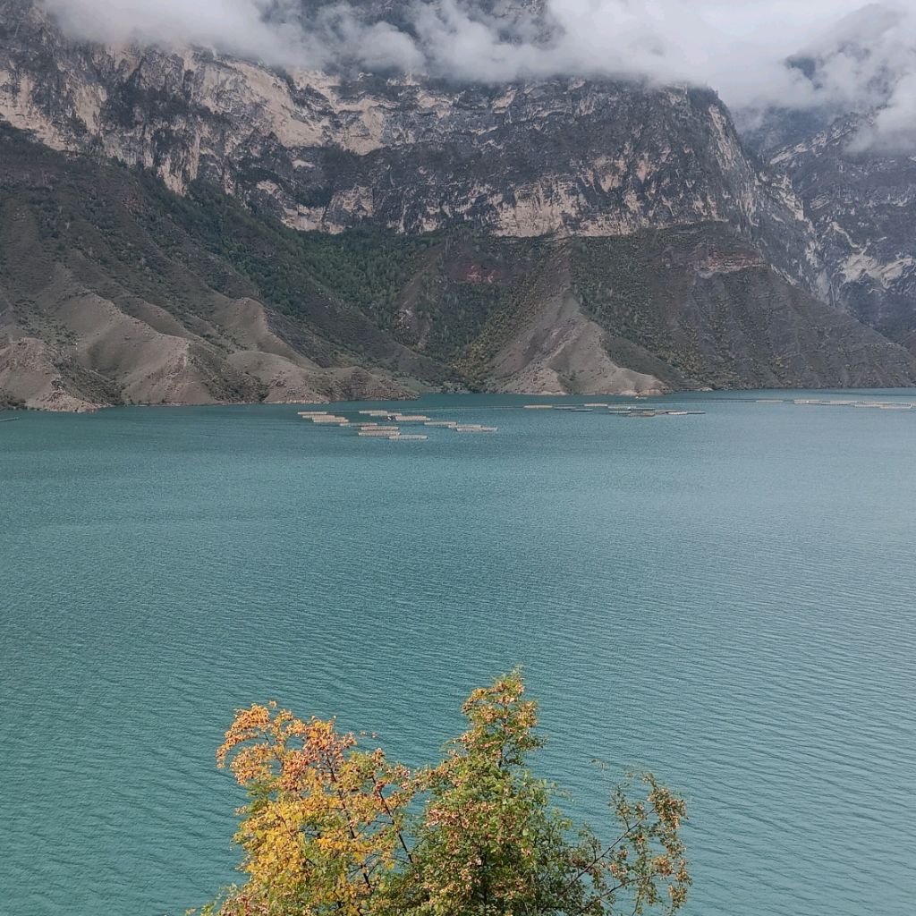 Иконка канала Ollium