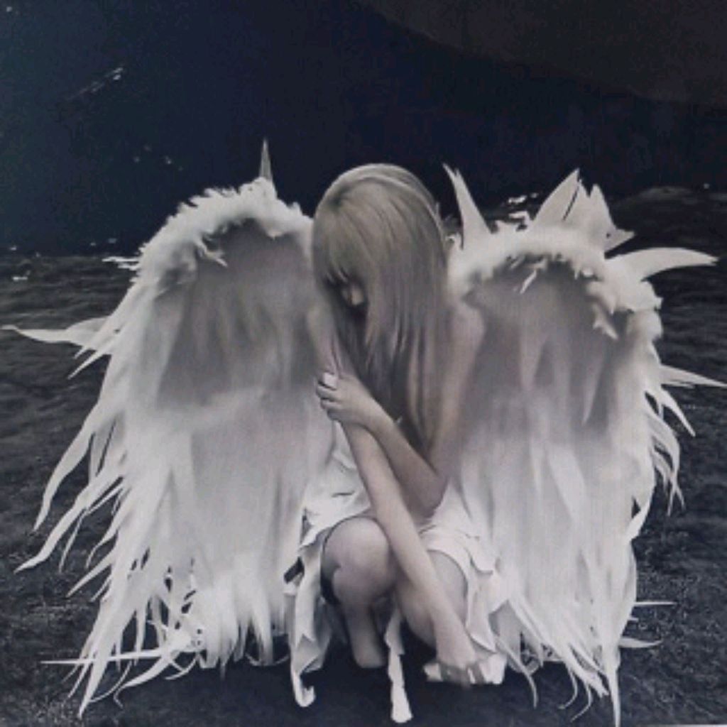 Иконка канала redawd🦴