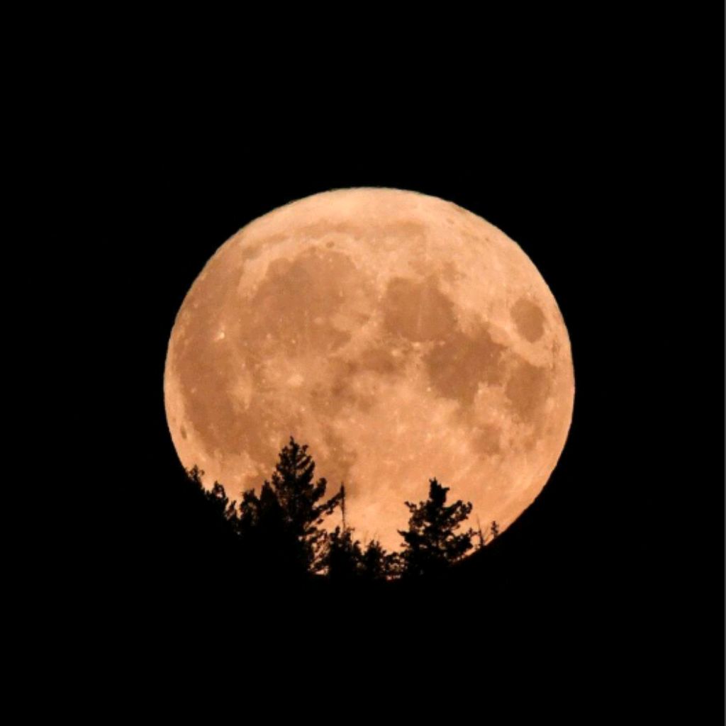 Иконка канала Best Wishes