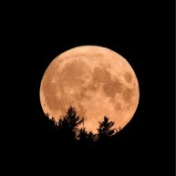 Иконка канала Best Wishes