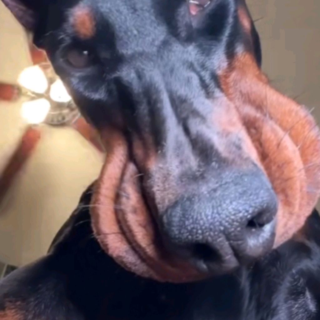 Иконка канала 🩷❤️🔥ТВОРЧЕСТВО С КИРОЙ 🩷❤️🔥