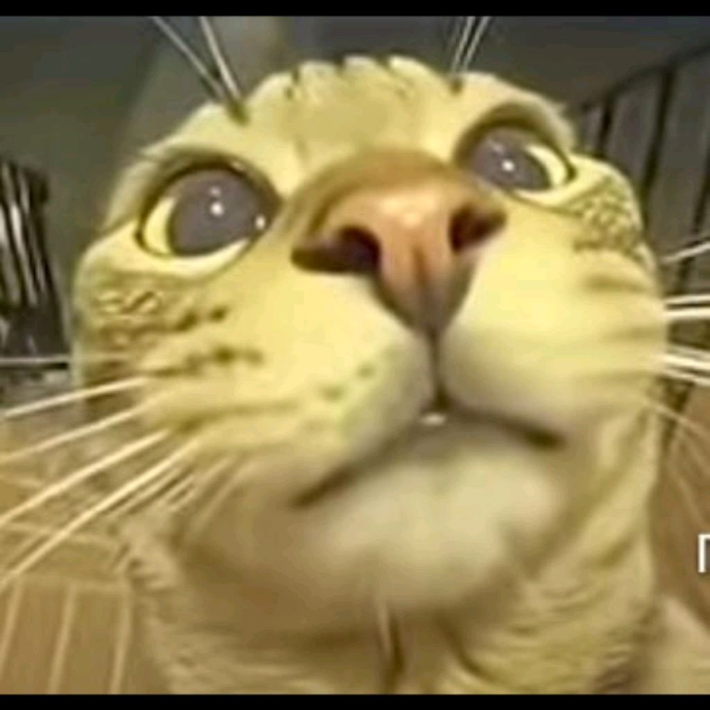 Иконка канала РОБЛОКС ЮЛЯ