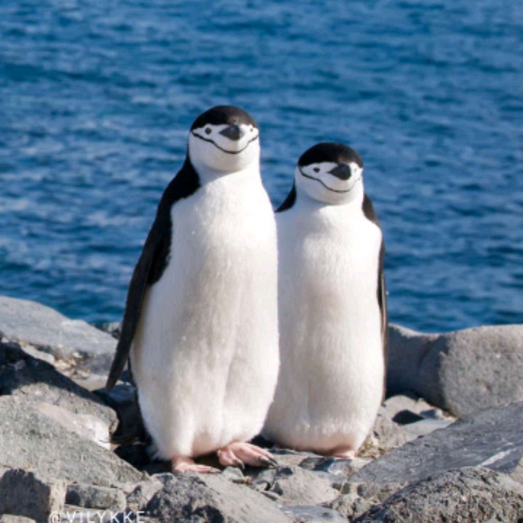 Иконка канала Игры и Челенджи