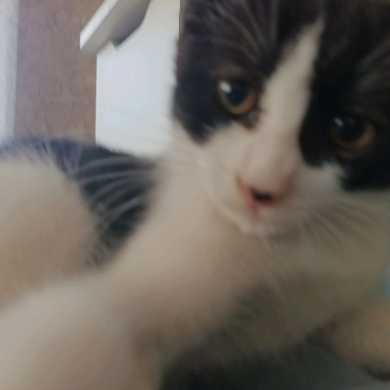 Иконка канала channel71888679