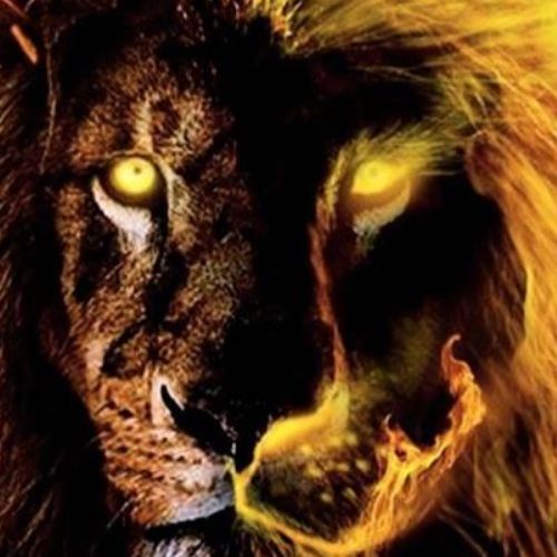 Иконка канала Timoxa_97