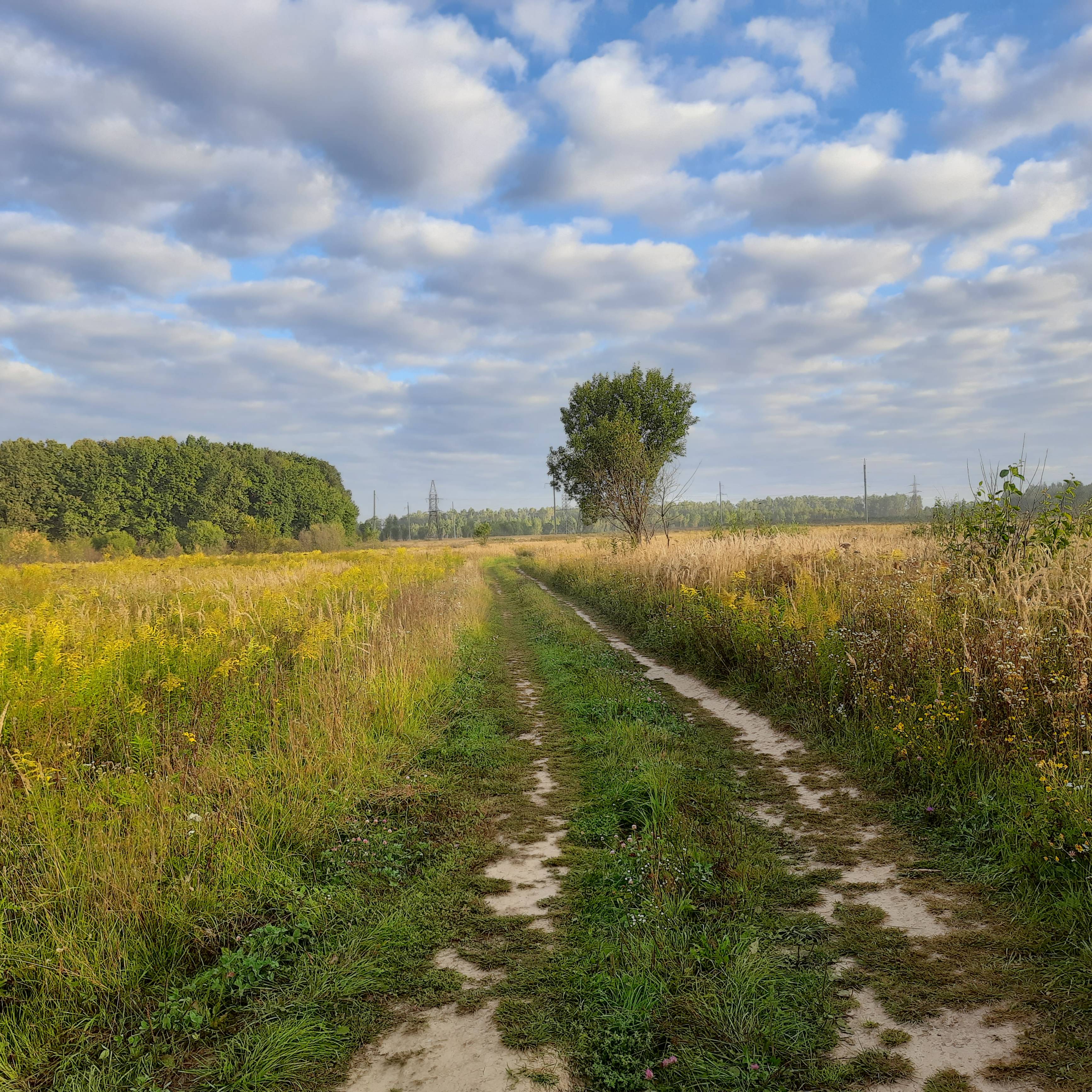 Иконка канала sergo