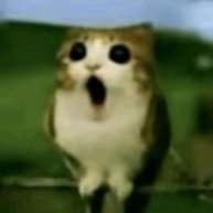 Иконка канала 𝐵𝒶𝓃𝒹𝒾𝓉🥷𝑅𝓊𝓉𝓊𝒷𝑒