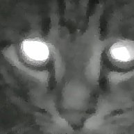 Иконка канала Говорящая Рыба