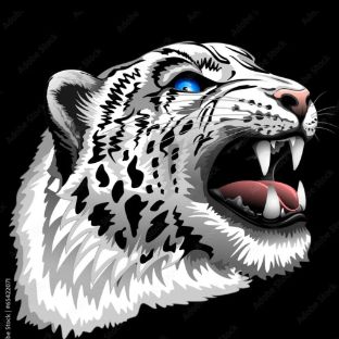 Иконка канала Барс