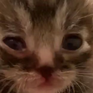 Иконка канала Pasha2025