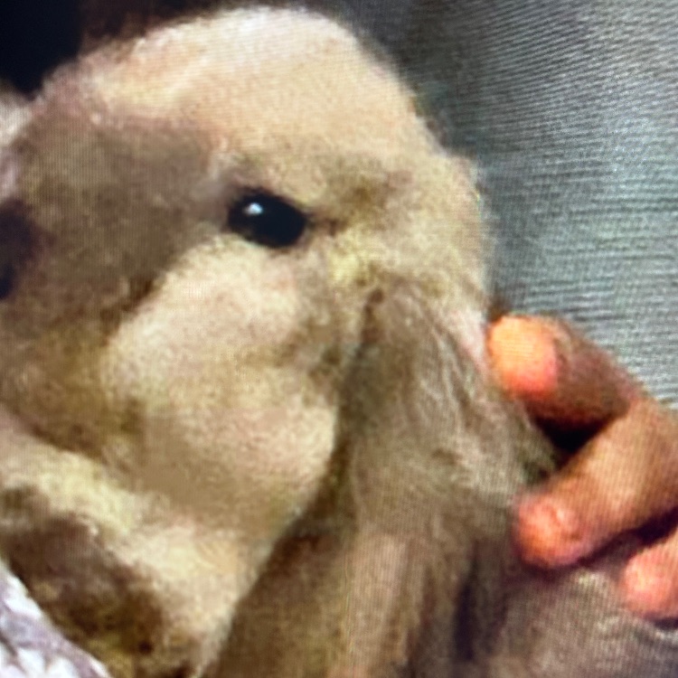 Иконка канала channel71604639