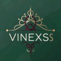 Иконка канала VINEXS