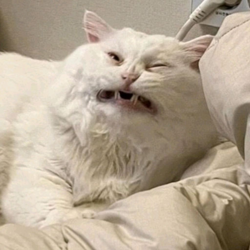 Иконка канала Кисулякин