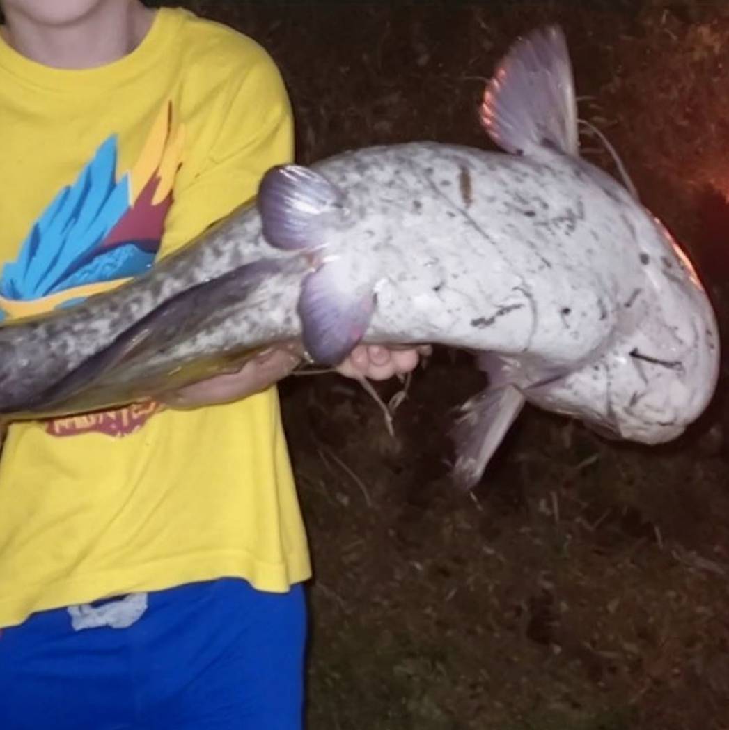 Иконка канала Солёный спининг