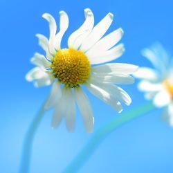 Иконка канала channel72094314