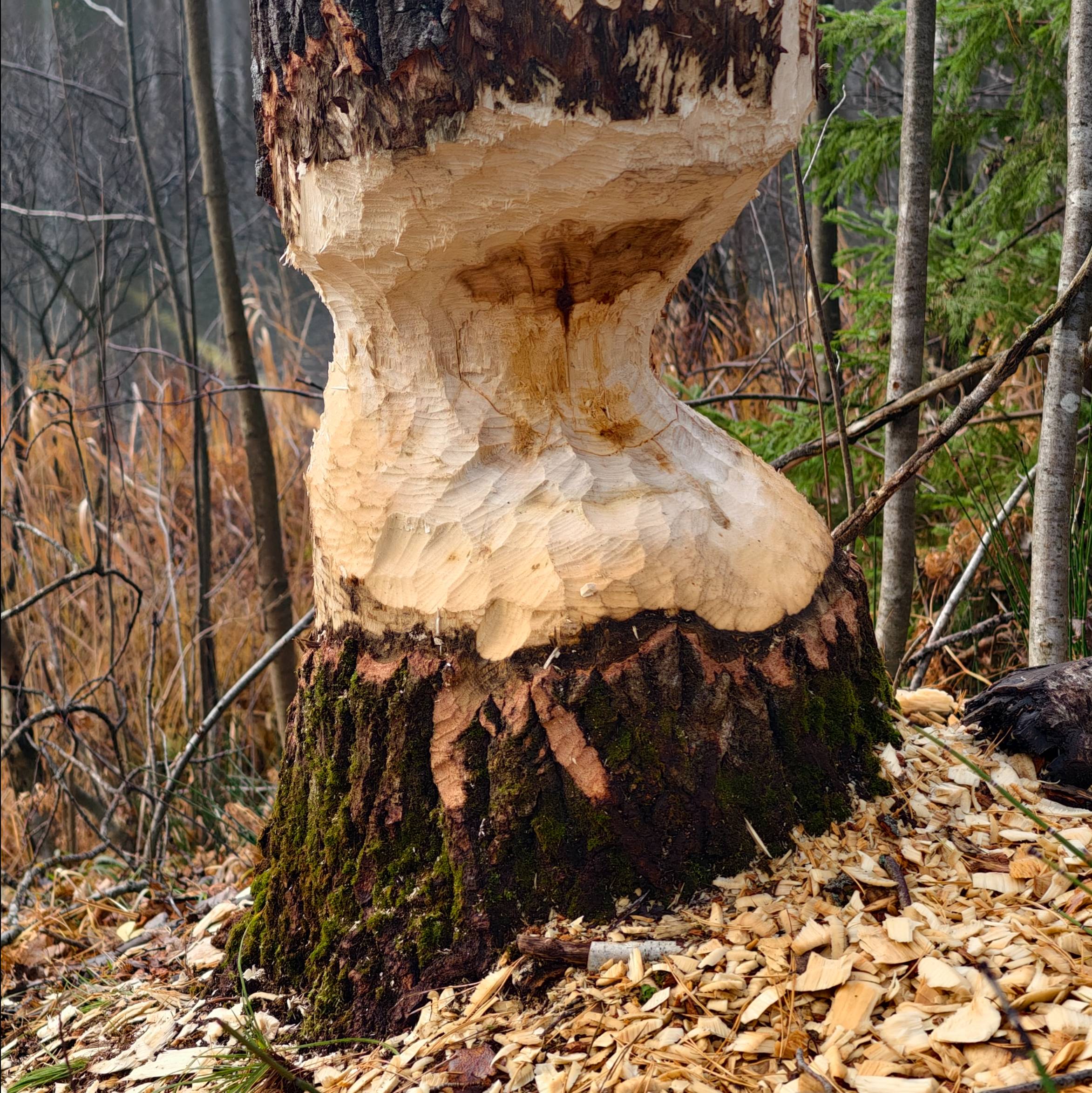 Иконка канала Разноцветный Шов