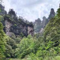 Иконка канала Мир на ладони