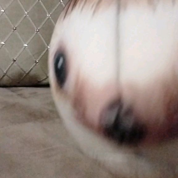 Иконка канала ГурустныйЕжик