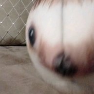 Иконка канала ГурустныйЕжик