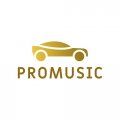 Иконка канала ProMusic