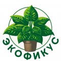 Иконка канала Экофикус