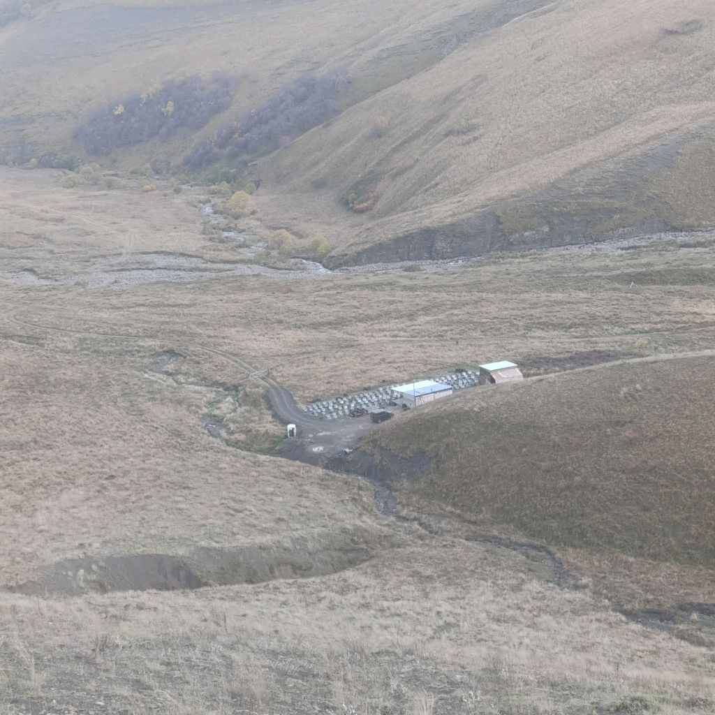 Иконка канала Гелхен, долина пчел.