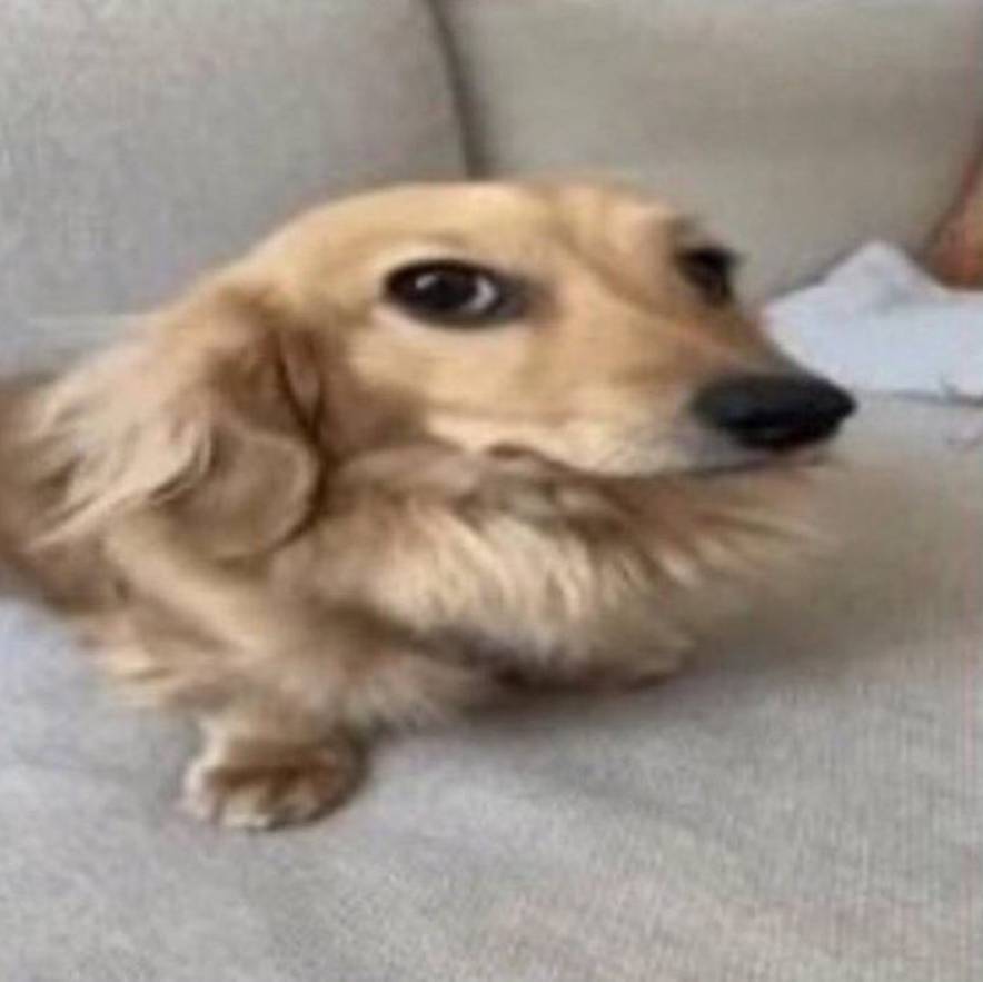 Иконка канала какой-то канал