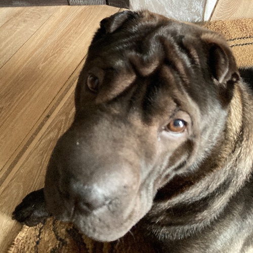 Иконка канала Полина и изюмка