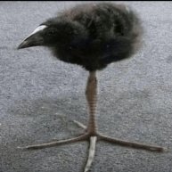 Иконка канала channel31231659